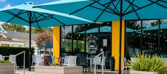 Vibrant Mid-City Oasis Minutes to LSU and Downtown