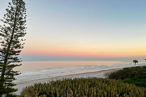 Vista costeira com praia, oceano e uma árvore alta em primeiro plano.