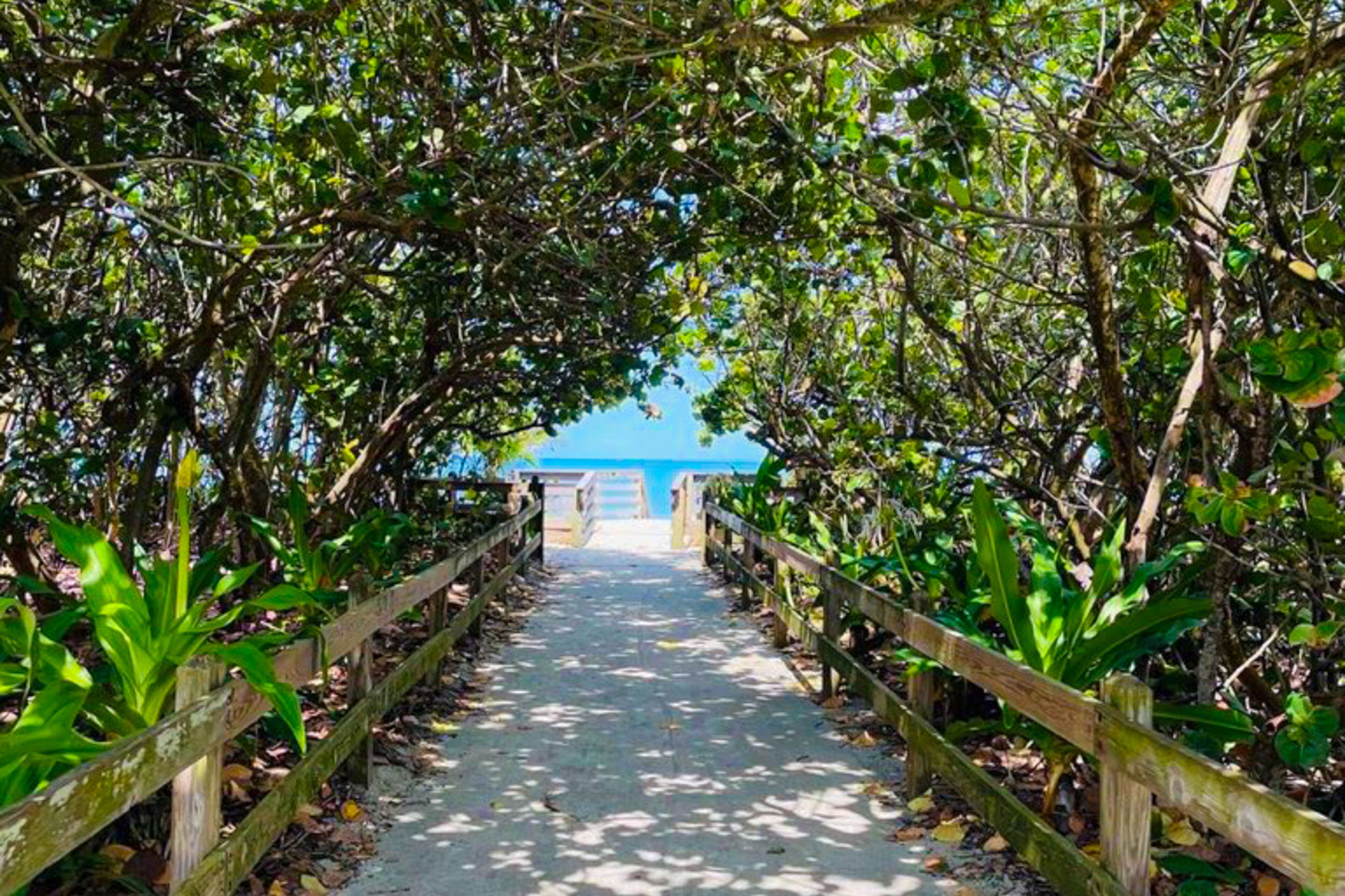 A pathway leading to a beach with wooden railings and lush greenery.