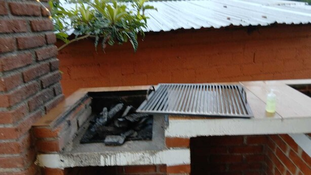 Un barbecue en briques avec une grille en métal, une bouteille de produit nettoyant et une plante placée au-dessus.