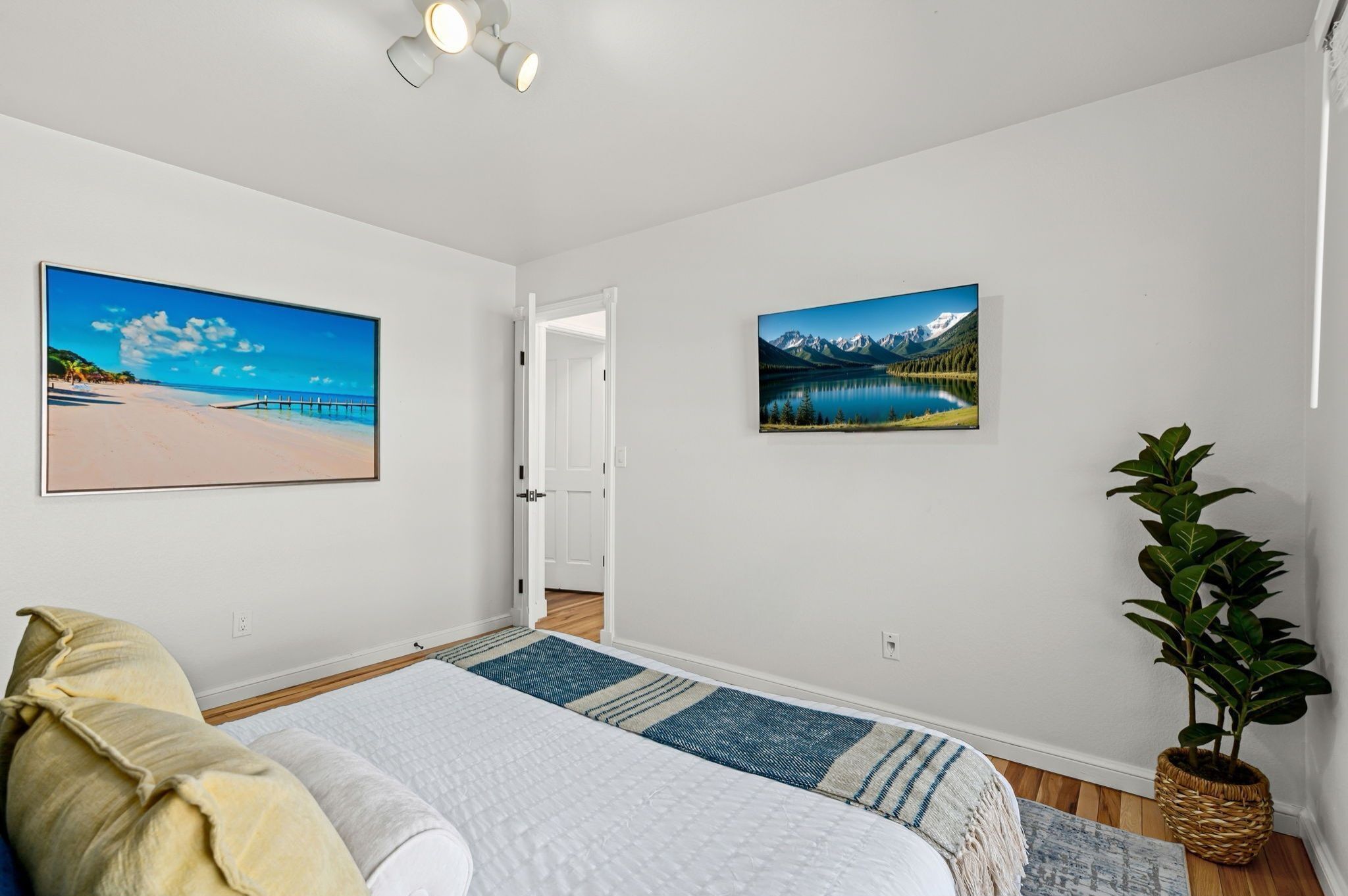 A bedroom with a bed, two wall-mounted pictures, a potted plant, and a door leading to another room.