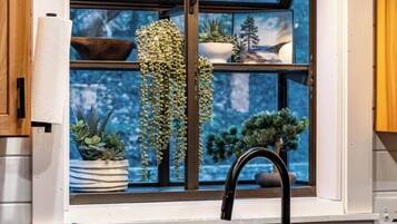 A window with a view of a snowy landscape, a hanging plant, and a potted plant on the windowsill.