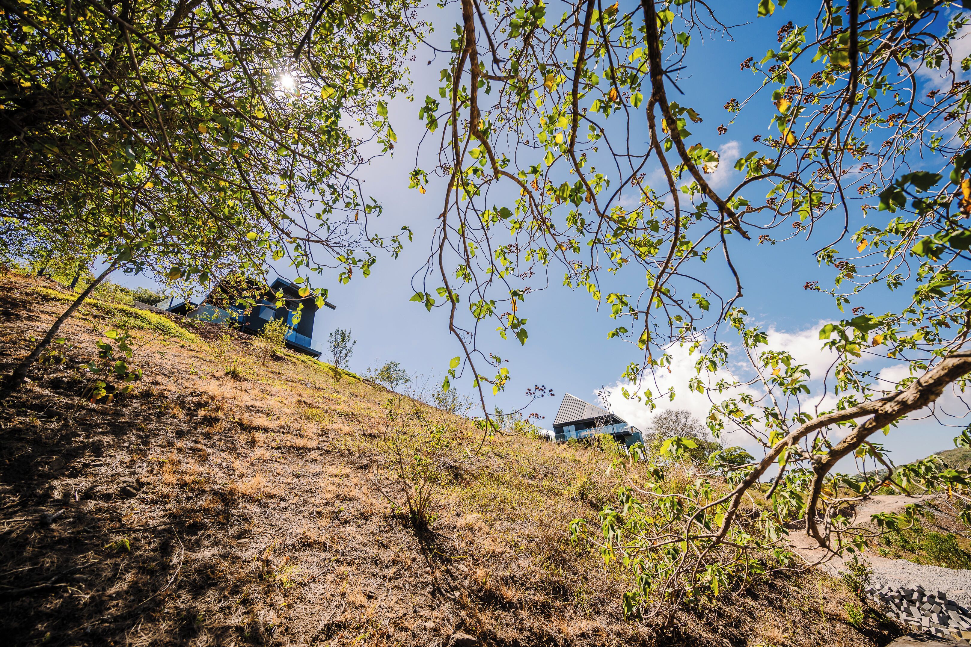 A hillside with sparse vegetation and a modern building with a sloped roof.