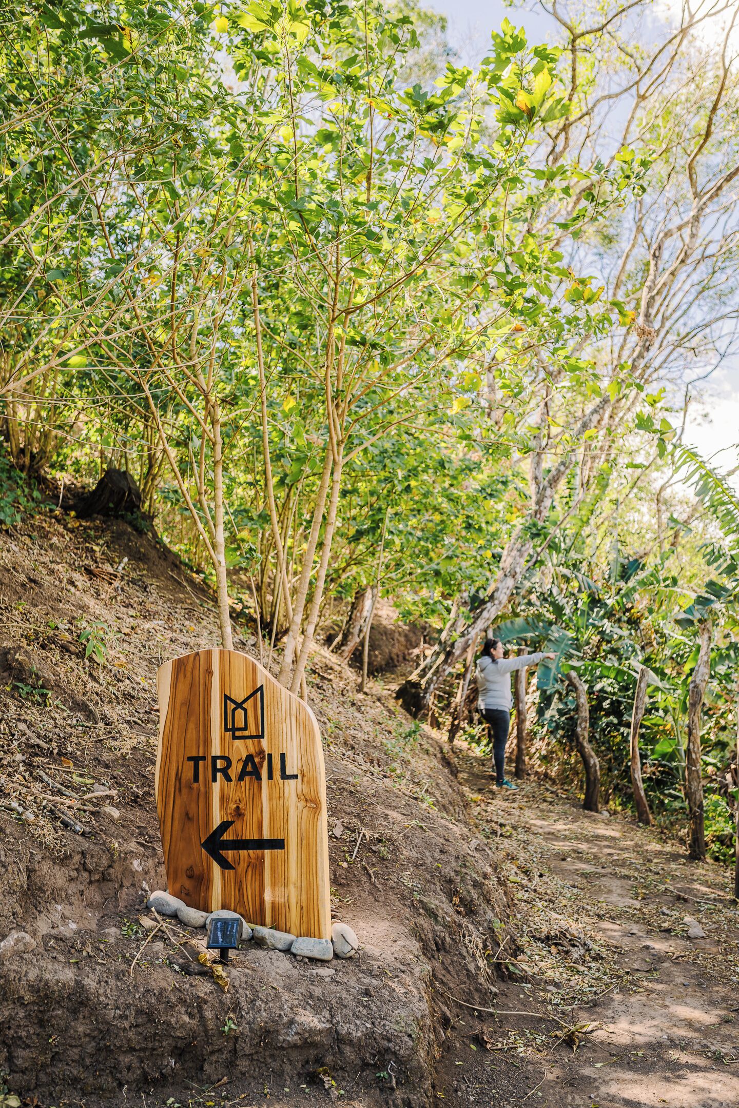 A wooden trail sign with a directional arrow, surrounded by trees and a hiker.