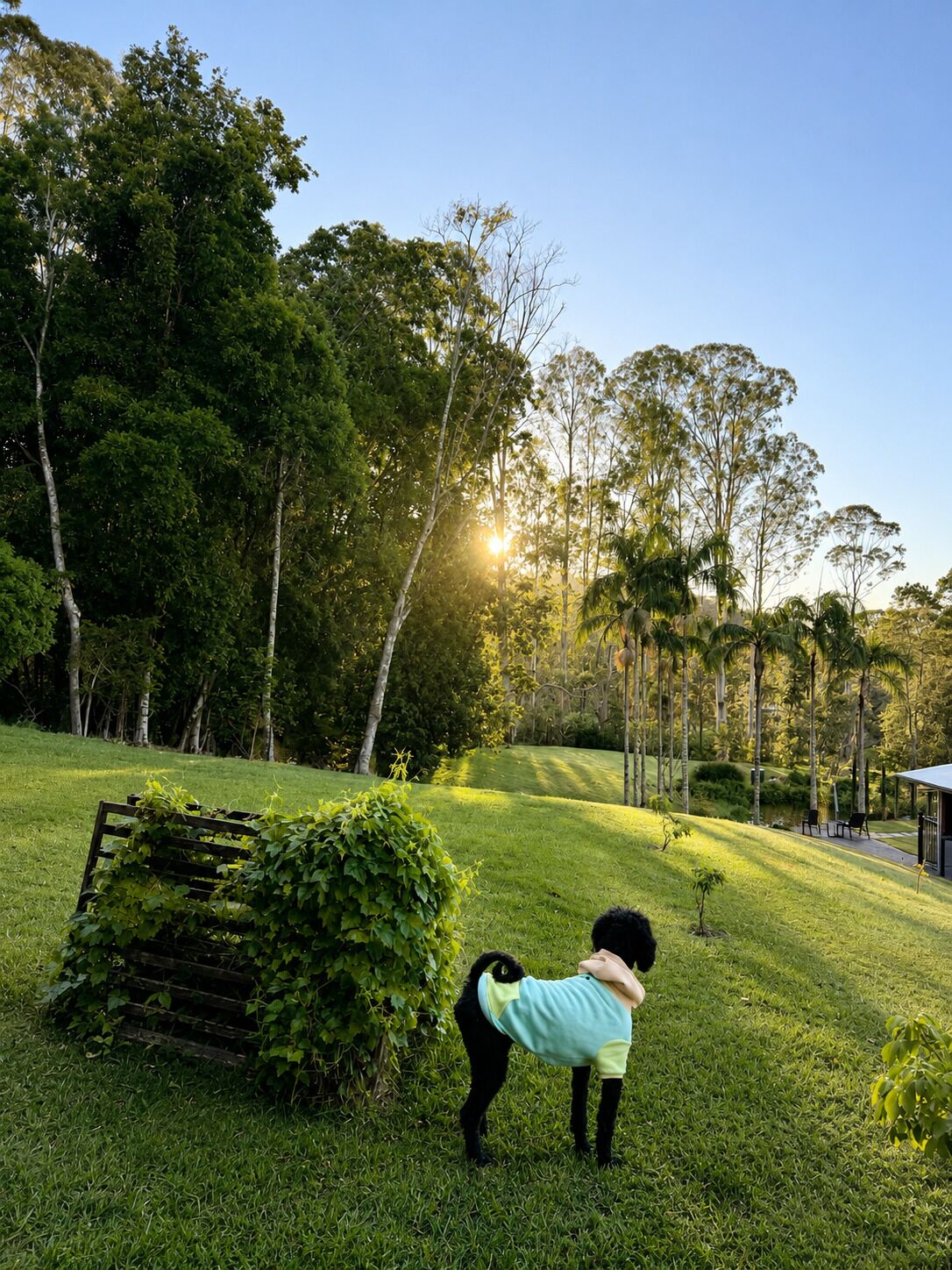 Property grounds