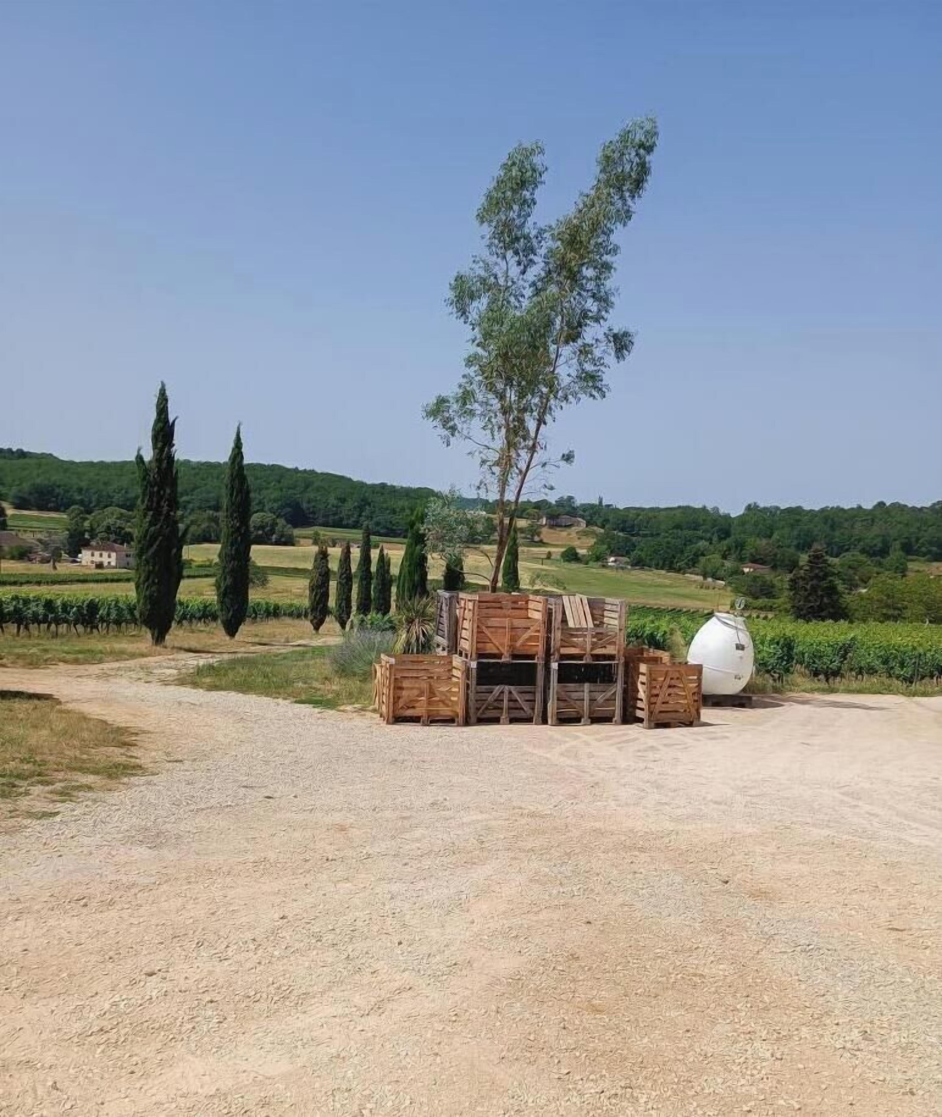 A gravel area with wooden crates and a white spherical object, surrounded by trees and a hilly landscape.