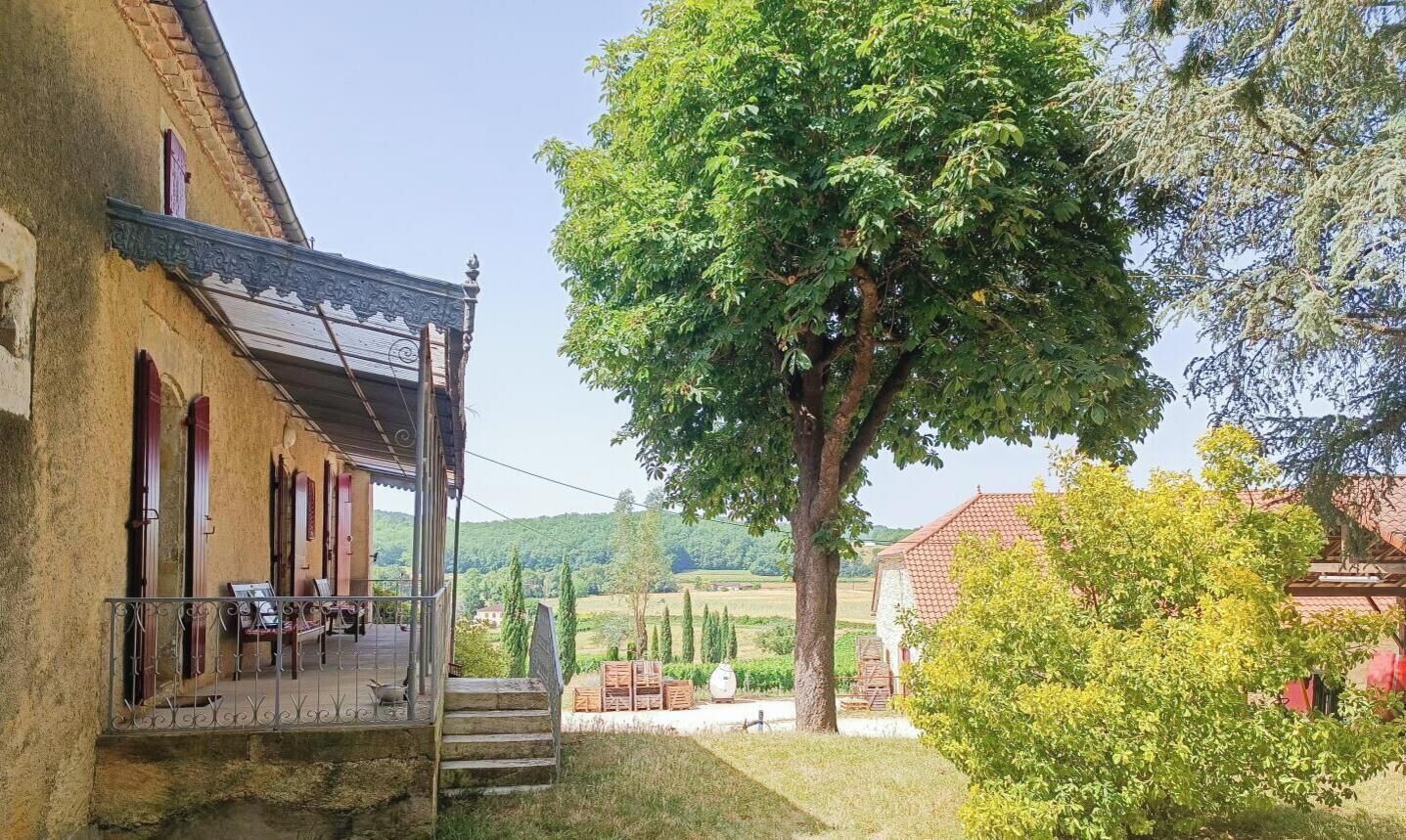 A rustic building with a balcony, a large tree in the foreground, and a vineyard in the background.