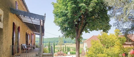 A rustic building with a balcony, a large tree in the foreground, and a vineyard in the background.