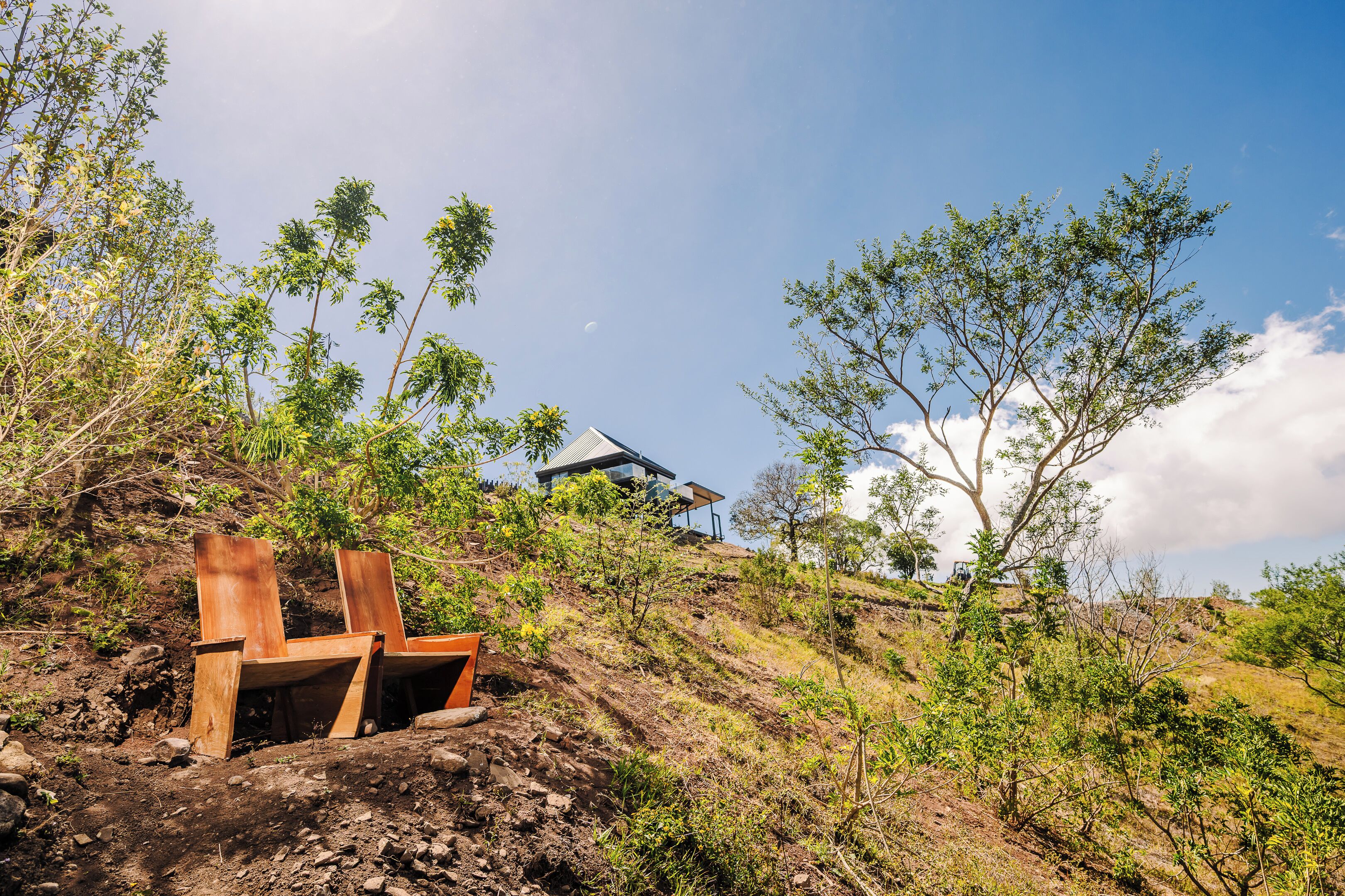 A wooden bench on a dirt path with a modern building in the background.