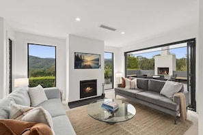 TV, fireplace, books