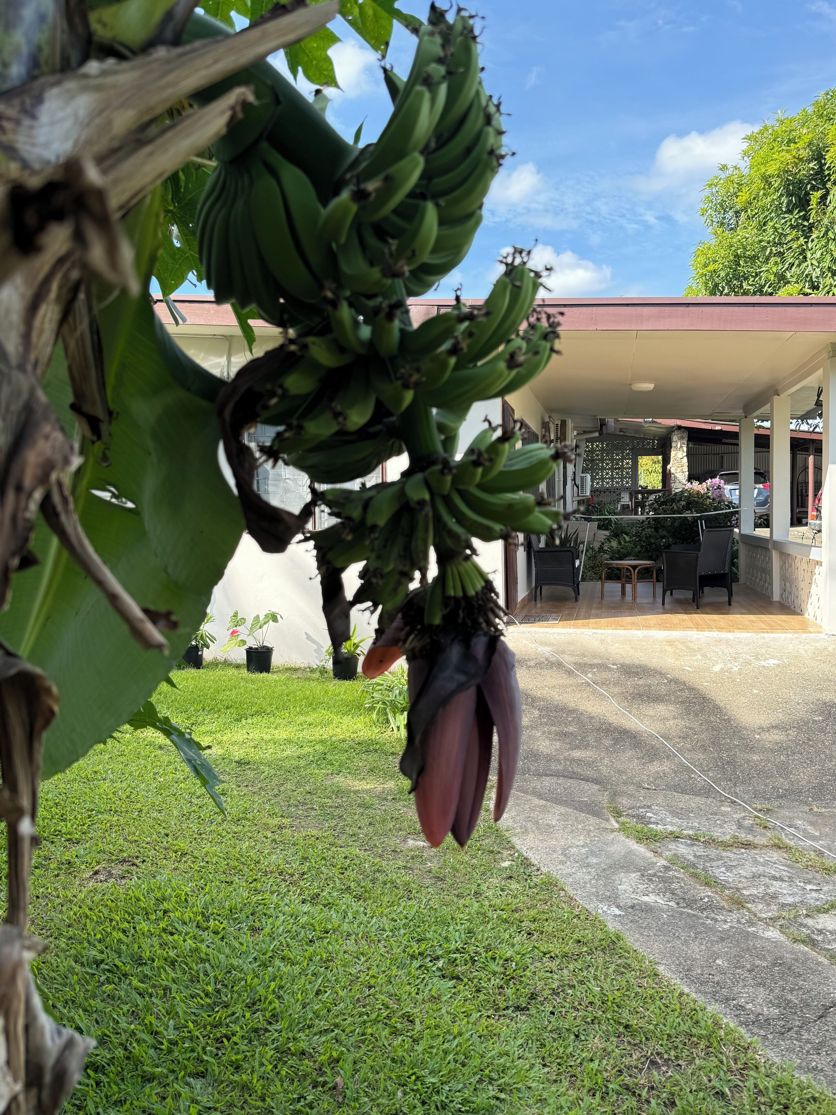 Property grounds