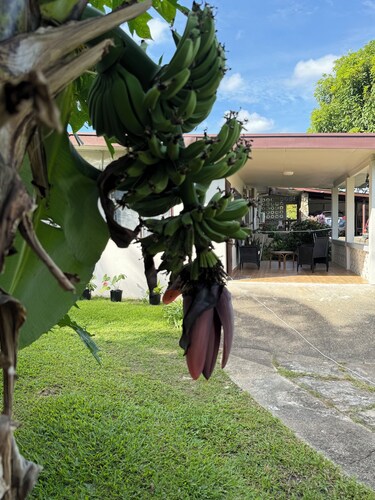 Enjoyable 2-bedroom apartment with AC in charming Sigatoka