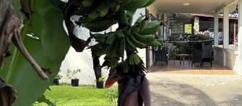 Enjoyable 2-bedroom apartment with AC in charming Sigatoka