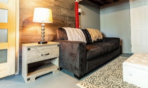 Smart TV, fireplace, books