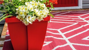 Ein roter Blumenkasten auf einer Veranda mit einer roten Tür und einem Schild mit der Nummer 23.
