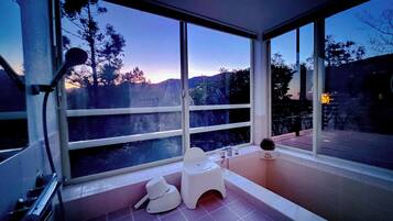Hair dryer, bidet, towels, soap