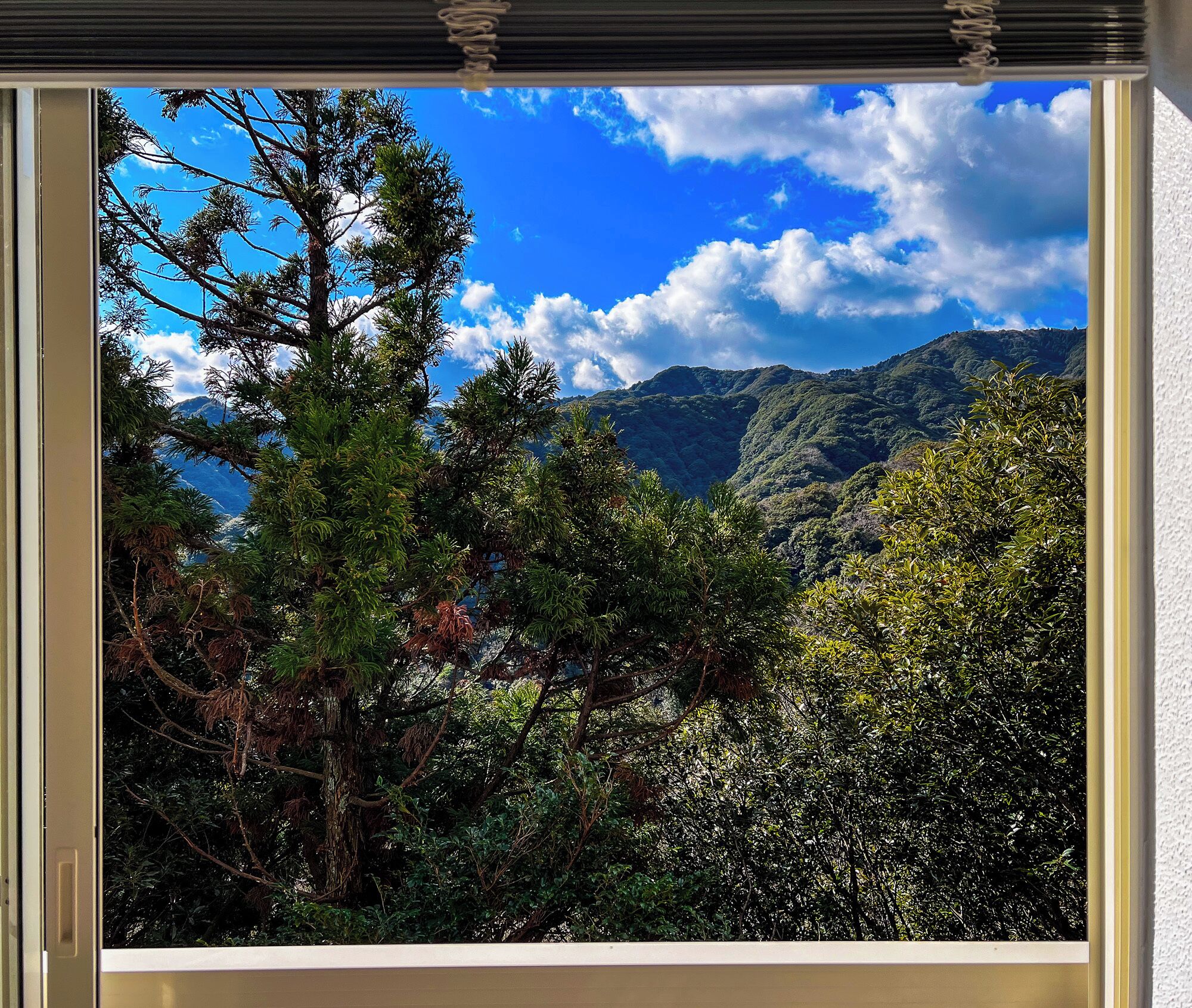 A window with a view of a mountainous landscape, dense foliage, and a clear sky.