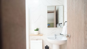 Ein Badezimmer mit Waschbecken, Spiegel, einer kleinen Pflanze auf einem Regal und Toilette.