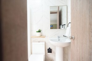 Ein Badezimmer mit Waschbecken, Spiegel, einer kleinen Pflanze auf einem Regal und Toilette.