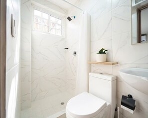A bathroom with a shower, toilet, and a small shelf with a plant. - Old Town Apartment | Perfect for exploring on foot (Panamá)