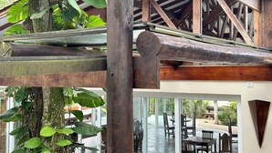 A wooden structure with a metal beam and a tree with large leaves. - Casa Canoa Frente Mar e Alta Gastronomia (Guarujá)