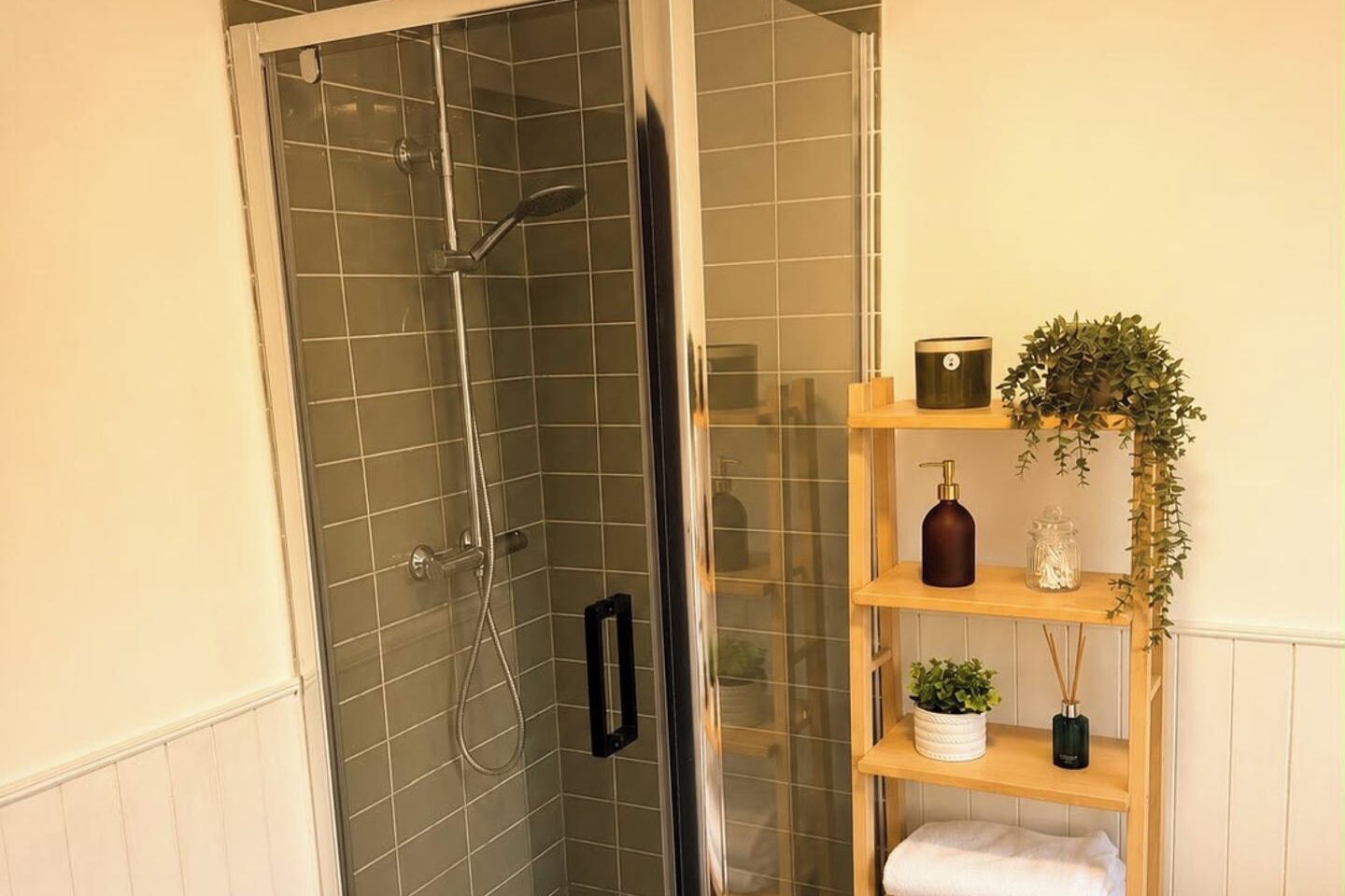 Shower, hair dryer, towels