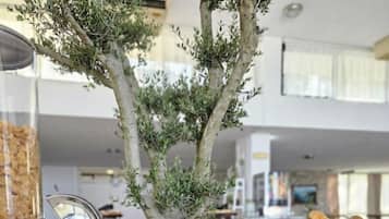 A buffet setup with various food items and a tree in the background.
