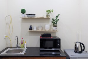 Una cuineta compacta amb un rentaplat, un microones, una tetera i una estant amb plats i una planta.