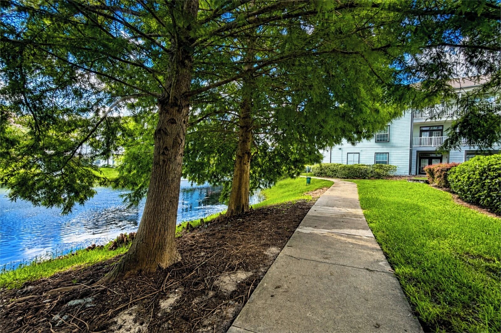 Un quartier résidentiel avec un sentier menant à une maison, un plan d’eau et des arbres.