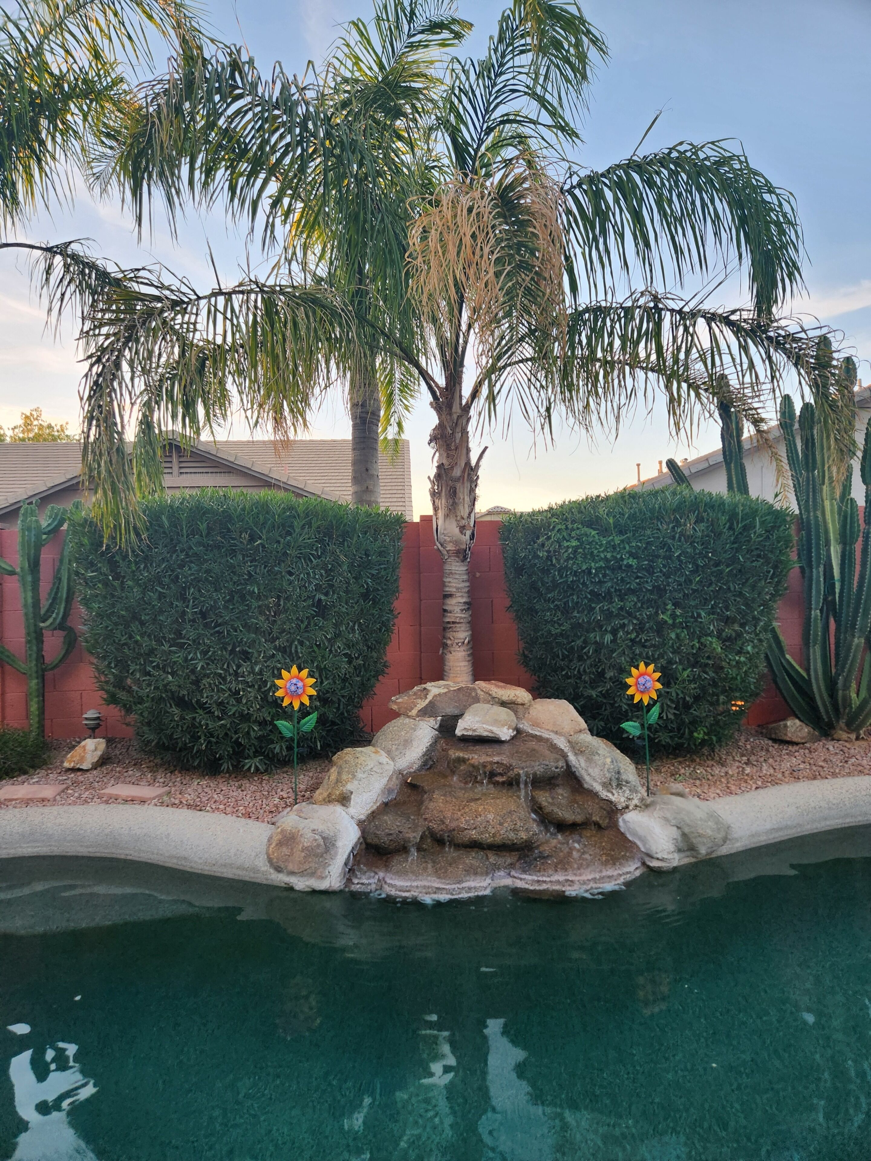 A landscaped area with a palm tree, two flower bushes, a small rock waterfall, and a pool.