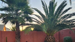 Ein Poolbereich mit roter Backsteinmauer, zwei Liegestühlen und einer Palme.