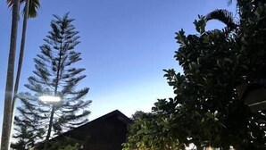 A garden with a pathway, potted plants, and a building with a sloped roof. - Excellence Pool Villa (Pattaya)