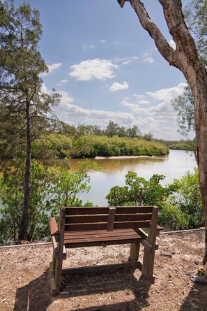 A wooden bench overlooking a calm river with dense greenery and trees in the background.
