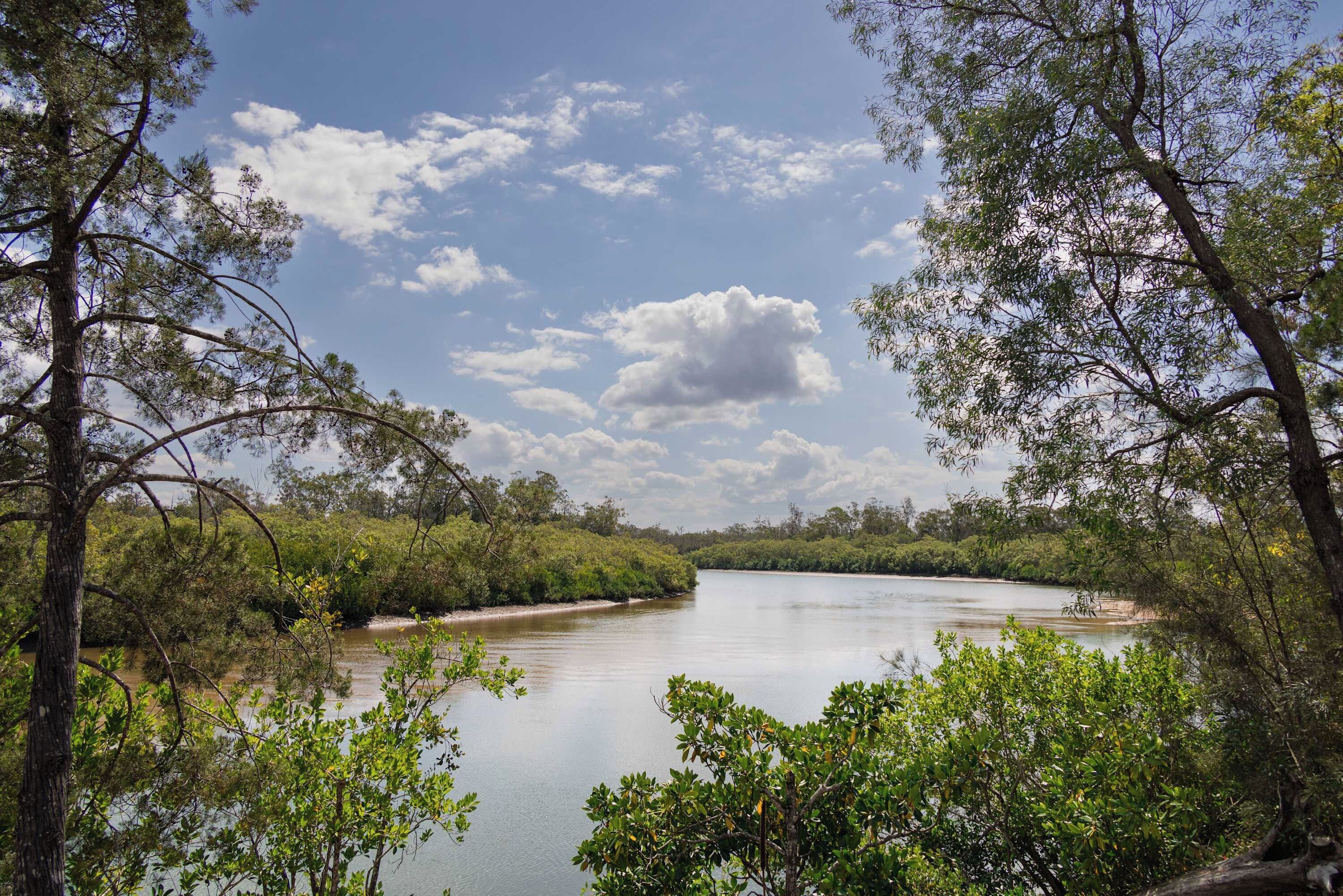 Un río rodeado de abundante vegetación y árboles.