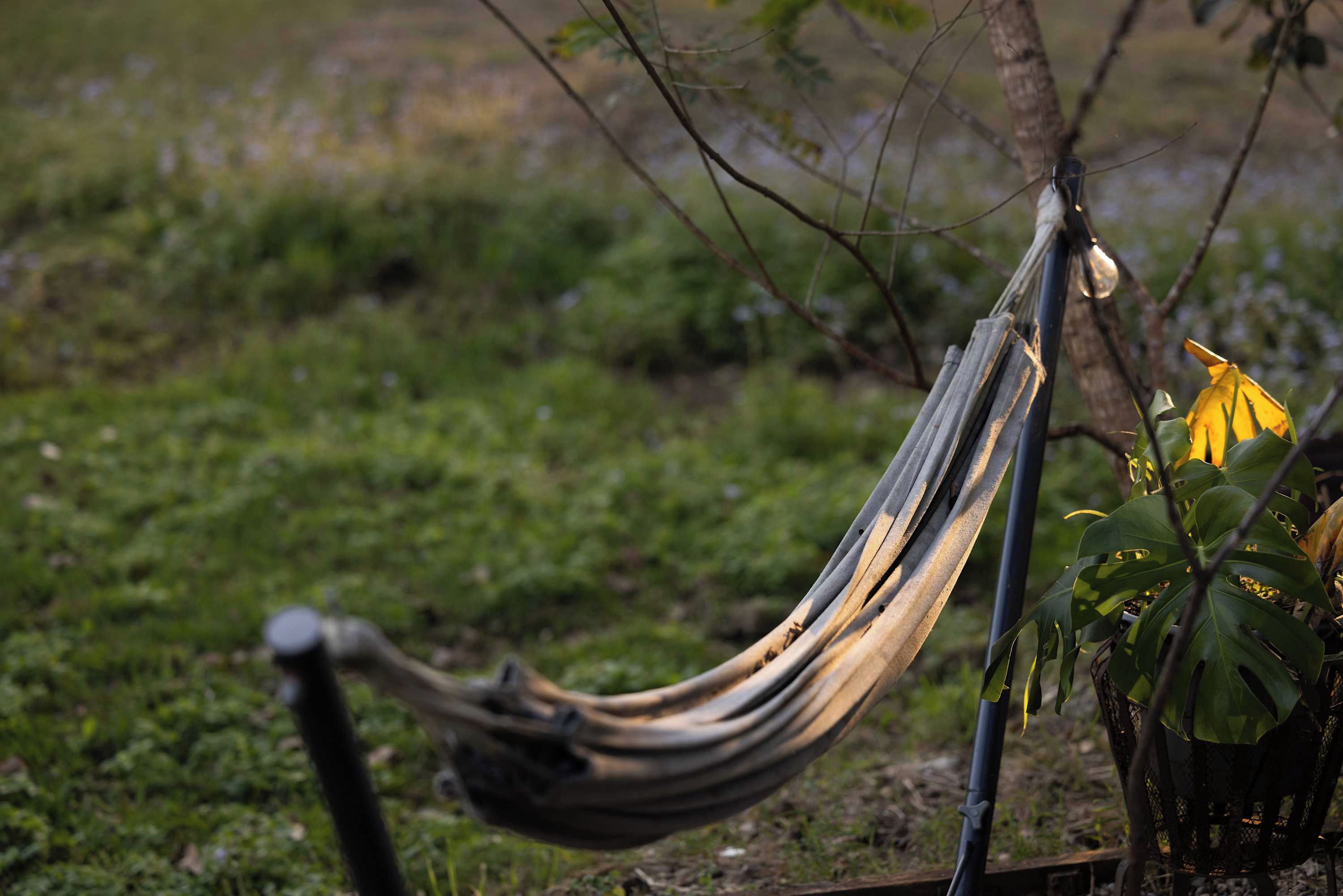 A hammock suspended between trees in a natural setting.