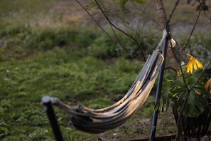 A hammock suspended between trees in a natural setting.