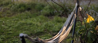 Samford Valley Retreat by Tiny Away