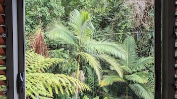 A window with a view of dense tropical foliage, including ferns and palm trees.