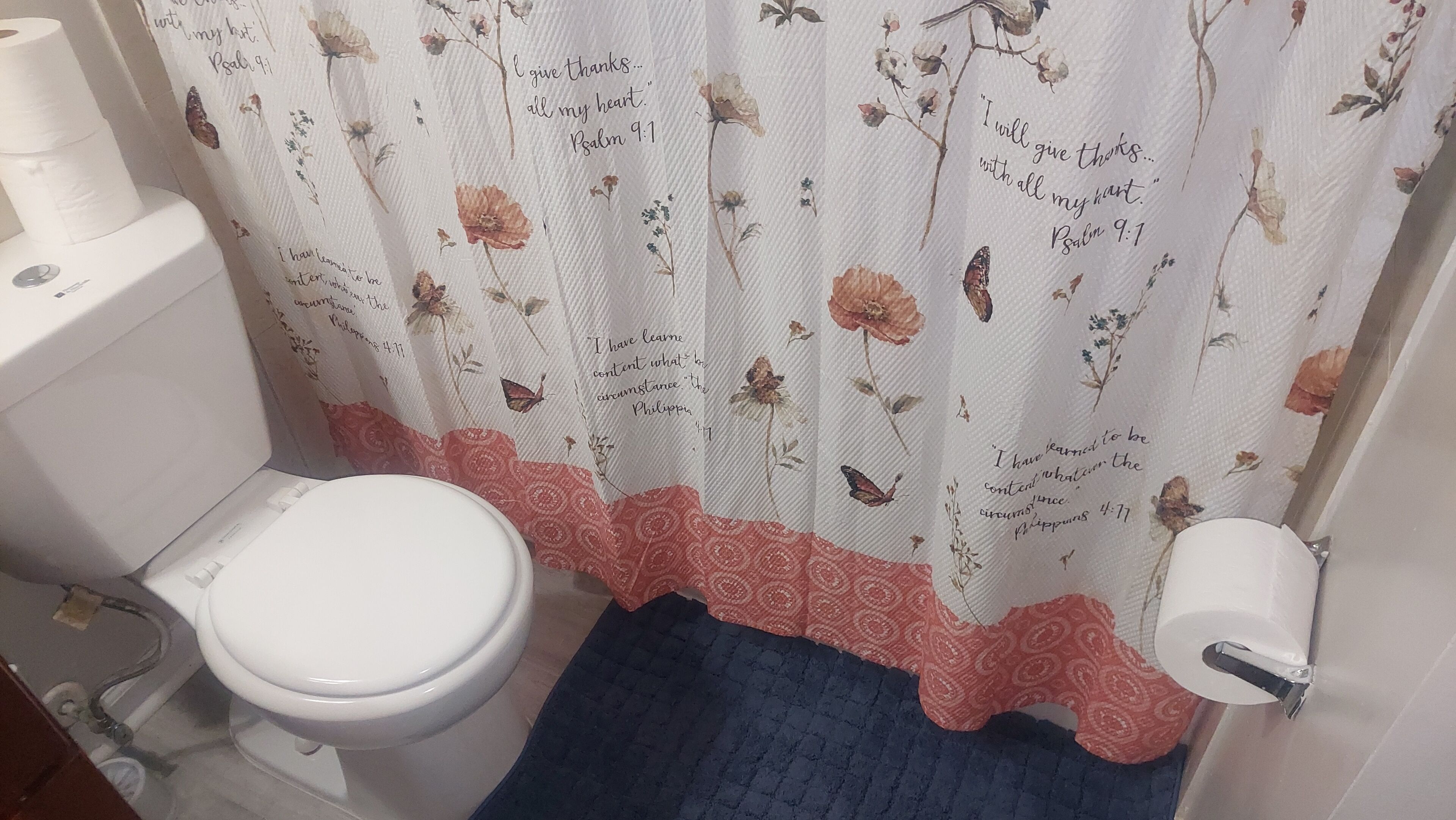 A bathroom with a toilet, a roll of toilet paper, and a shower curtain with floral and script patterns.