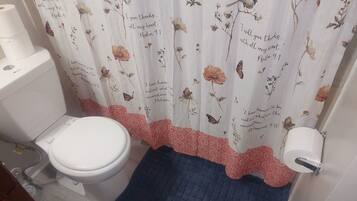 A bathroom with a toilet, a roll of toilet paper, and a shower curtain with floral and script patterns.