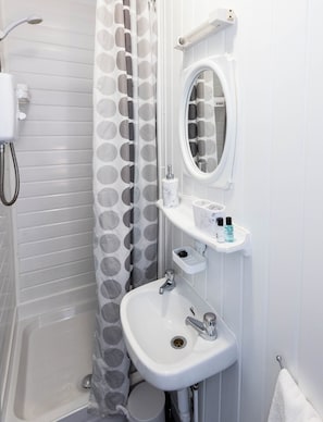 Een badkamer met douche, toilet, wastafel en een spiegel.