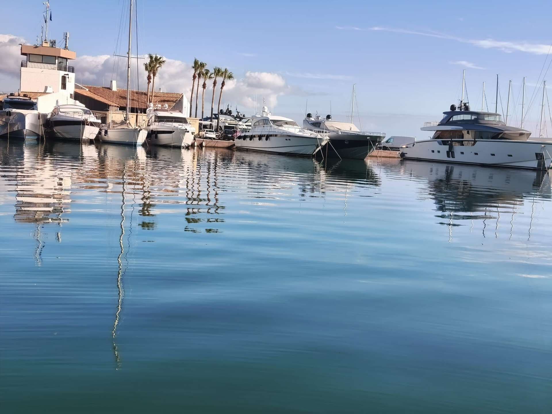 A marina with several yachts docked, calm water, and a clear sky.