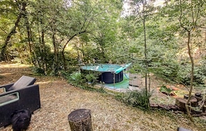 Ein bewaldetes Gebiet mit einer kleinen, umzäunten Struktur, möglicherweise einer Hot-Tub, umgeben von Bäumen und natürlicher Bodenbedeckung.