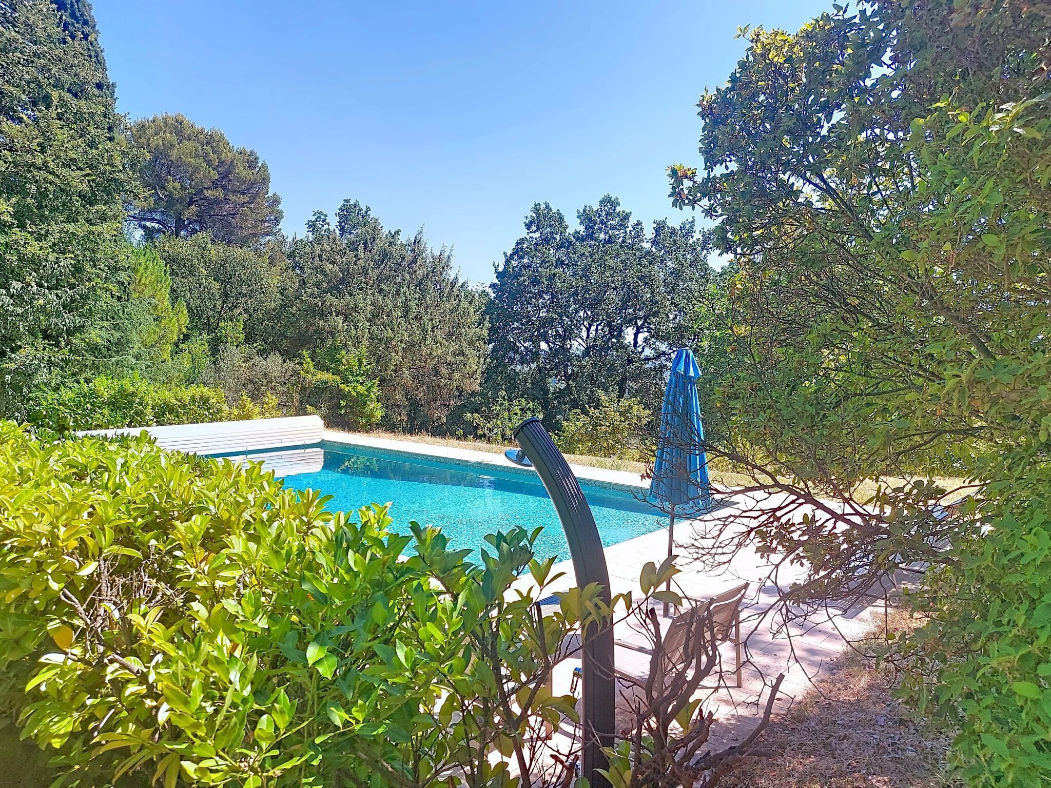 A swimming pool surrounded by lush greenery and trees.