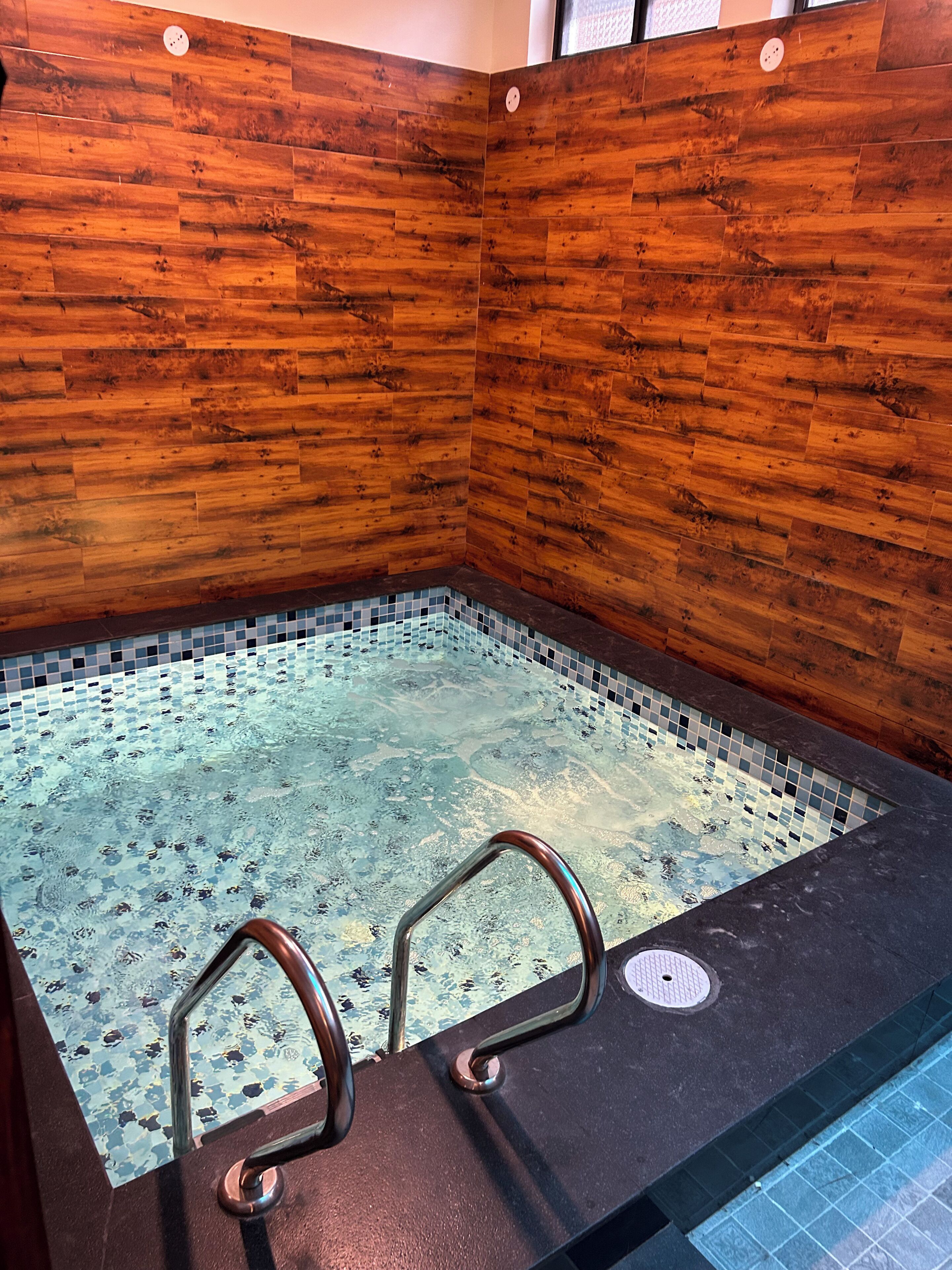 A wooden wall, a tiled pool, and a metal ladder.
