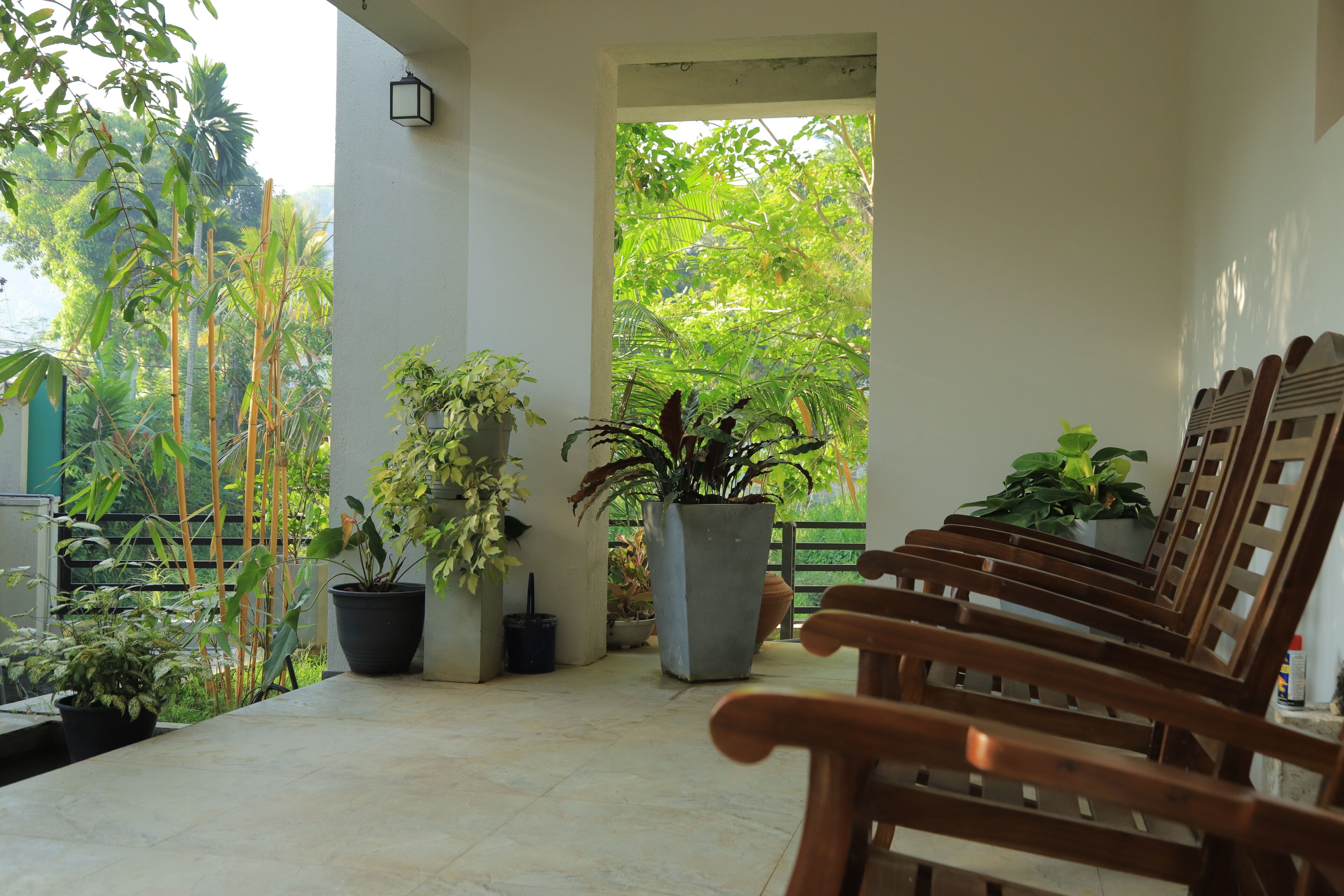 Terraza o patio
