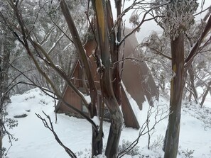 Un bâtiment en bois entouré d’arbres couverts de neige.
