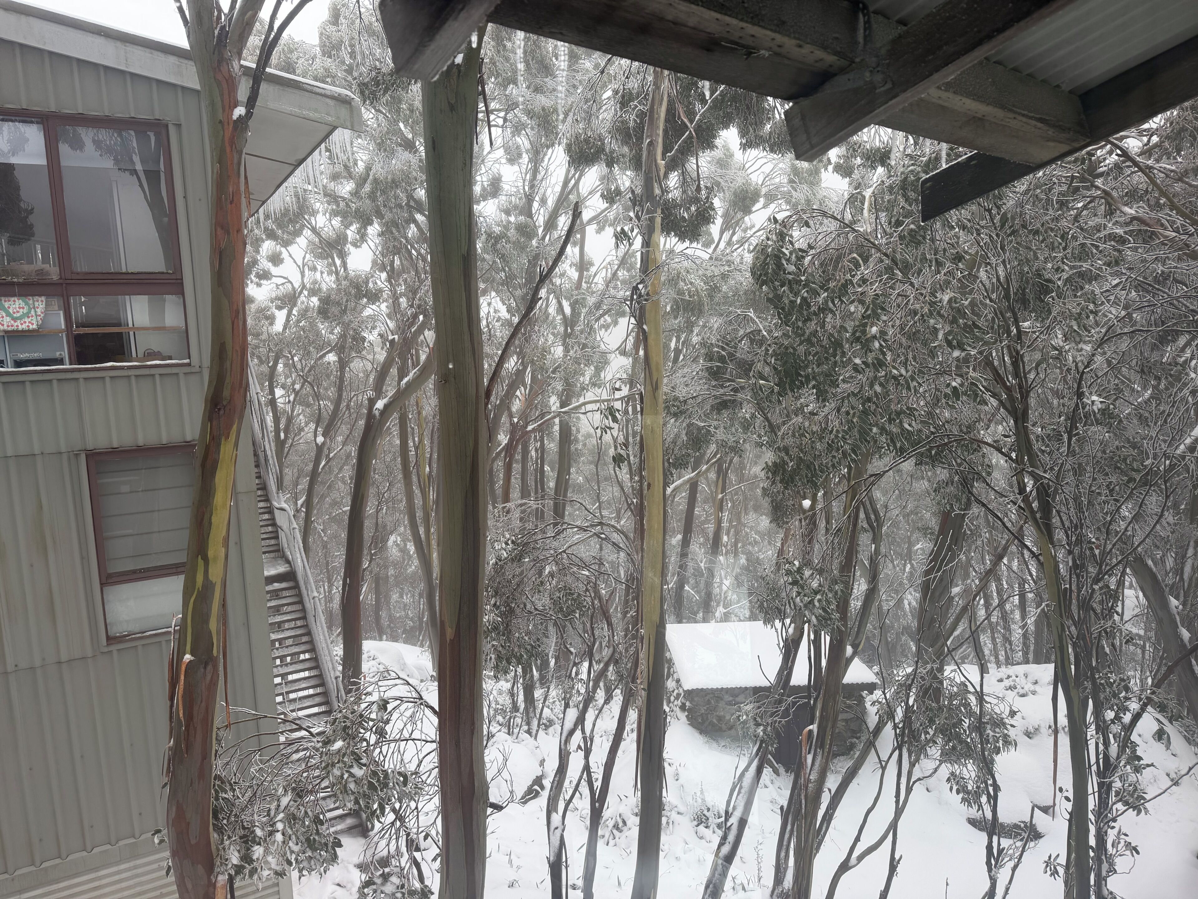 Family Quadruple Room, Mountain View | View from room