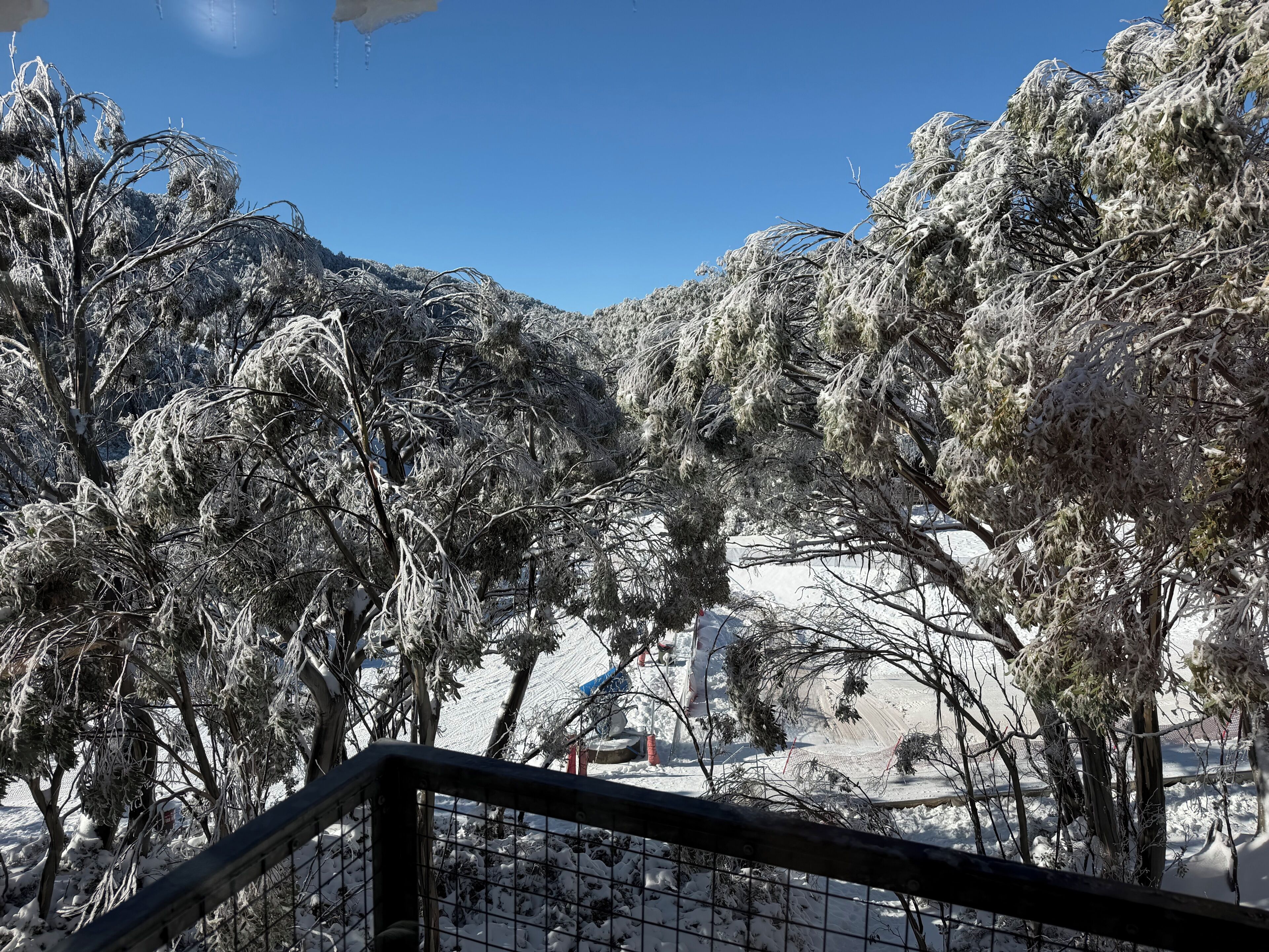 Un paisaje nevado con árboles y un cielo azul despejado.