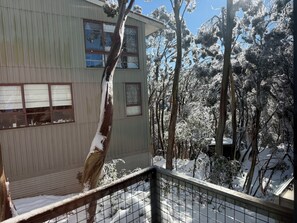A building with multiple windows, surrounded by snow-covered trees.